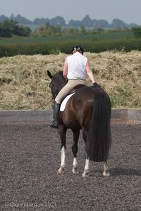 ISIS Dressage Challenge 2008